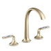 Kallista P25055-SPR Script Snk Fct Arch Spt Enml Sprng Rain