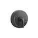 Kallista P24415-LV One Pb Shower Trim W/O Divrt, Lever Hdl