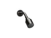 Kallista P24482-00 One Showerhead With Arm