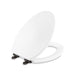 Kallista Bridgeton P70303-BGP Classic Toilet Seat