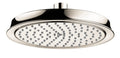 Polished Nickel