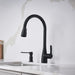 Matte Black - BLANCO Atura Pull-Down Dual-Spray Bar Faucet