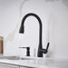 Matte Black - BLANCO Atura Pull-Down Dual-Spray Bar Faucet