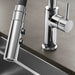 Chrome - BLANCO Catris Flexo Semi-Pro Pull-Down Dual-Spray Kitchen Faucet