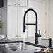 Matte Black - BLANCO Catris Flexo Semi-Pro Pull-Down Dual-Spray Kitchen Faucet
