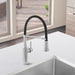 Pvd Steel - BLANCO Empressa Semi-Pro Pull-Down Dual-Spray Kitchen Faucet