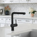 Anthracite - BLANCO Linus Low Arc Pull-Out Dual-Spray Kitchen Faucet