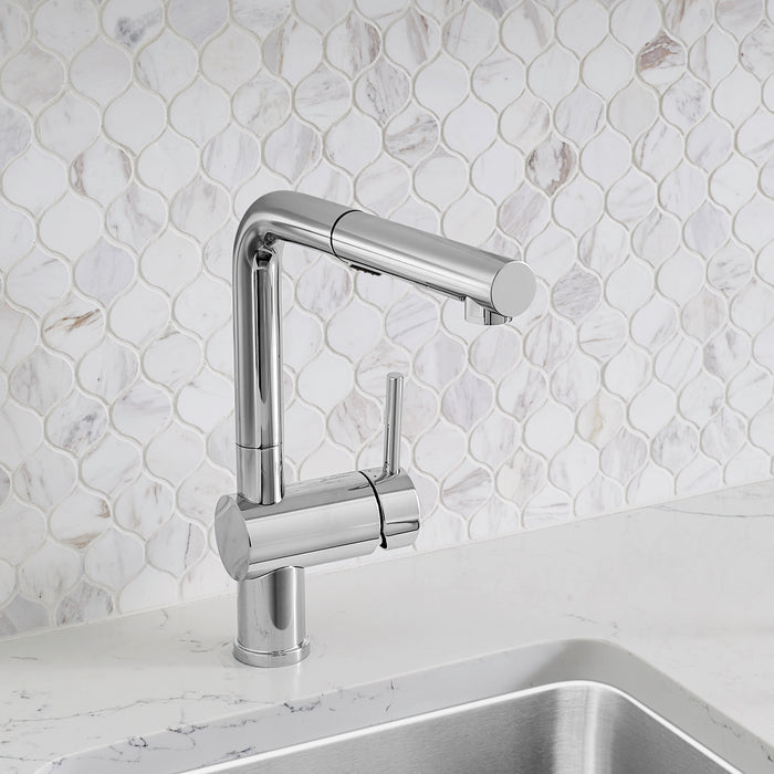 Chrome - BLANCO Linus Low Arc Pull-Out Dual-Spray Kitchen Faucet