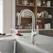 Pvd Steel - BLANCO Rivana High-Arc Pull-Down Dual-Spray Kitchen Faucet