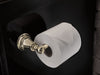 Brizo Rook 695061 Tissue Holder, polished nickel - view 2