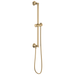 Brizo Essential Shower 74795 Classic Round Slide Bar With Hose, luxe gold