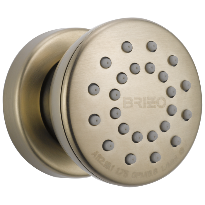 Brizo Essential Shower 84110 Touch-Clean Round Body Spray, brushed nickel