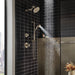 Brizo Litze 85735 Slide Bar Handshower with H2OKINETIC Technology, polished nickel - view 5