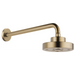 Brizo Essential Shower 87375 5" Linear Round H20Kinetic Single Function Wall Mount Showerhead, luxe gold - view 3