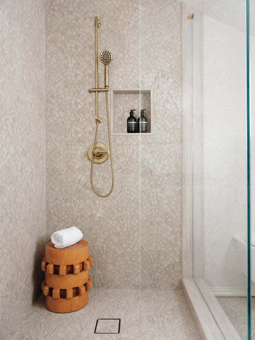 Brizo Invari 88776 H2OKINETIC Multi-Function Slide Bar Handshower