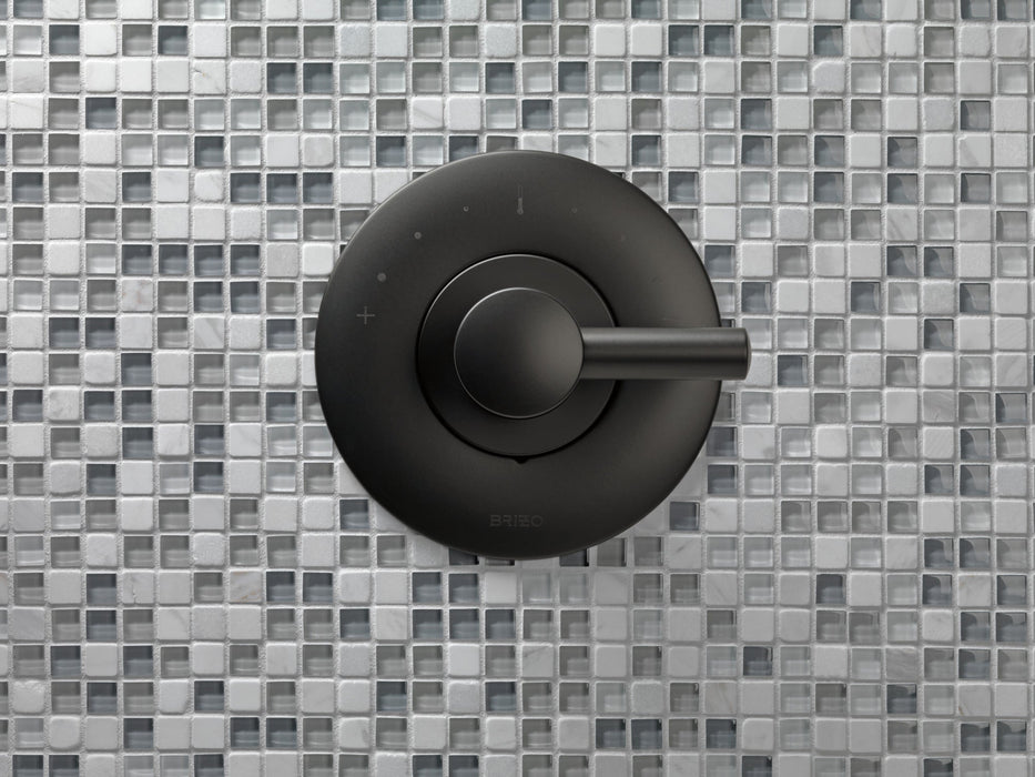 Brizo Jason Wu for Brizo HL6675 Sensori Thermostatic Trim Lever Handle, matte black - view 3