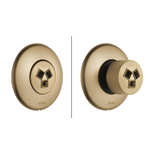 Brizo SH84102 Hydrachoice H20Kinetic Invigorating Spray Head, luxe gold - view 2
