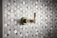 Brizo Litze T66634 Sensori Volume Control Trim - Industrial Lever, polished nickel - view 2