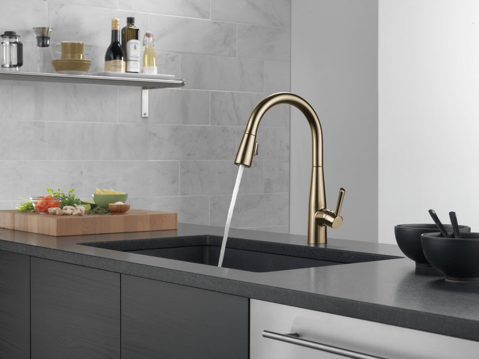 Delta Essa 9113 Single Handle Pull-Down Kitchen Faucet, champagne bronze - view 5