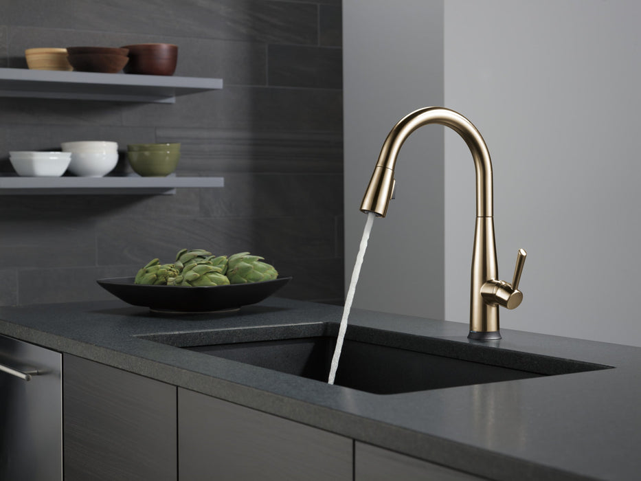 Delta Essa 9113T Single Handle Pull-Down Kitchen Faucet with TouchTouch 2O Technology
