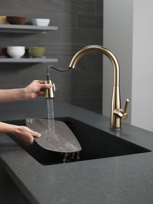 Delta Essa 9113T Single Handle Pull-Down Kitchen Faucet with TouchTouch 2O Technology