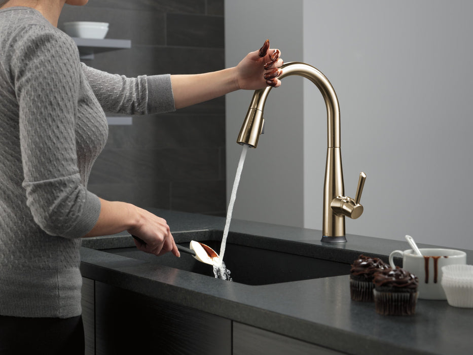 Delta Essa 9113T Single Handle Pull-Down Kitchen Faucet with TouchTouch 2O Technology