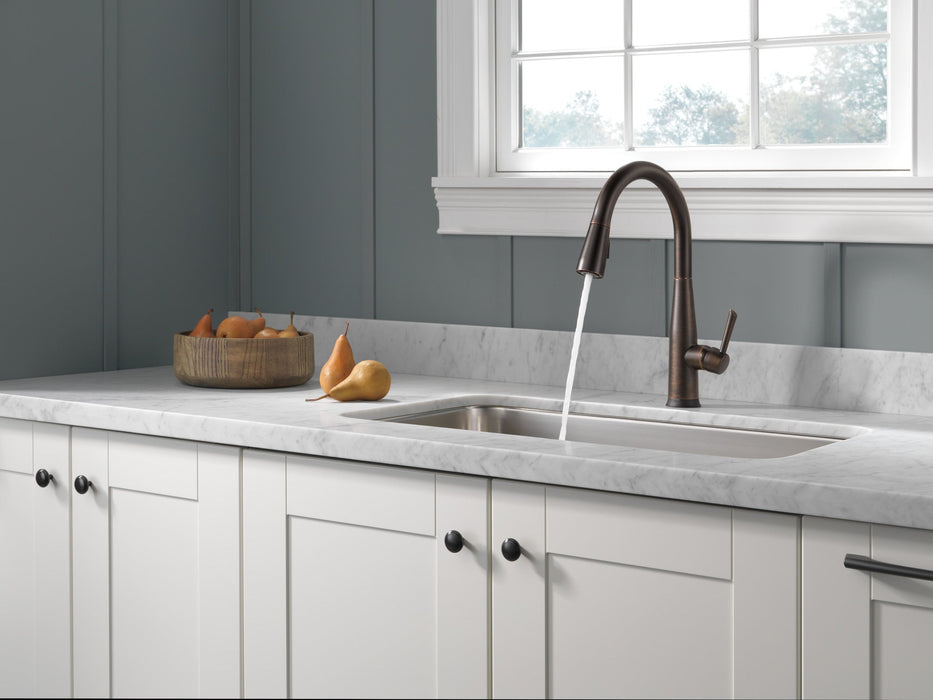 Delta Essa 9113T Single Handle Pull-Down Kitchen Faucet with TouchTouch 2O Technology