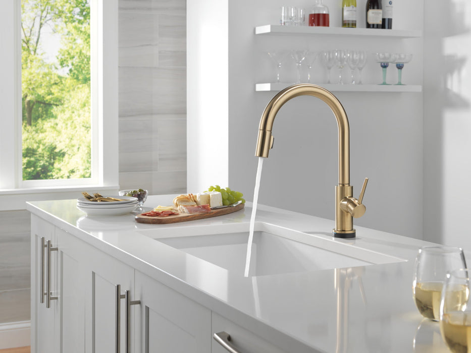 Delta Trinsic 9159TL TouchTouch 2O Technology Kitchen Faucet with Touchless Technology, champagne bronze - view 5