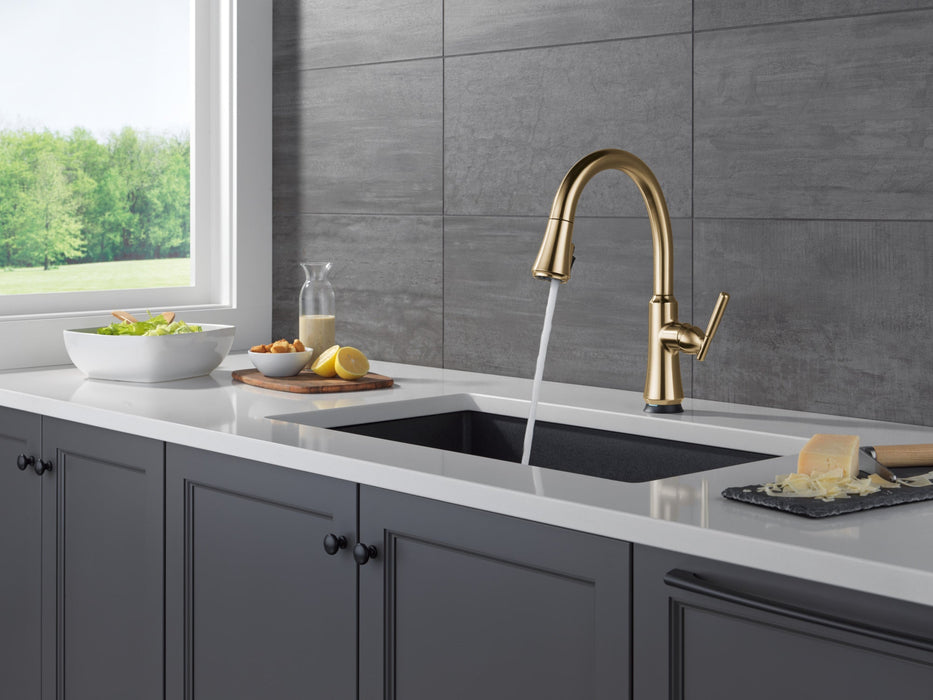 Delta Coranto 9179TL TouchTouch 2O Technology Kitchen Faucet with Touchless Technology, champagne bronze - view 3