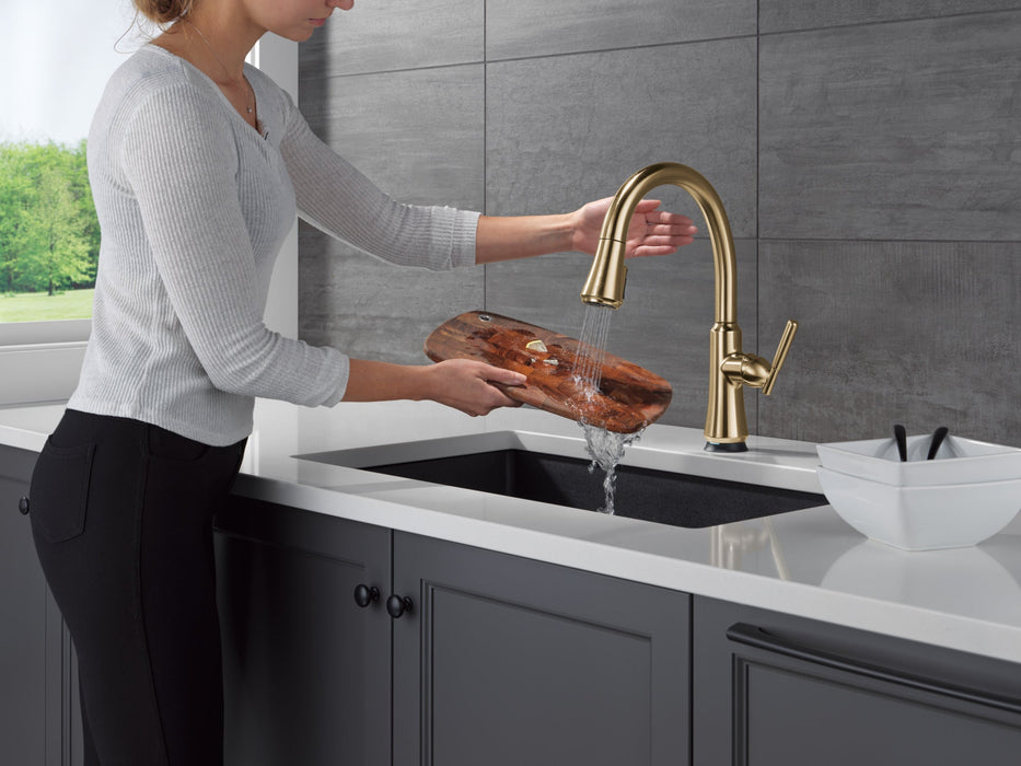 Delta Coranto 9179TL TouchTouch 2O Technology Kitchen Faucet with Touchless Technology, champagne bronze - view 5