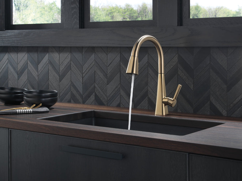 Delta Lenta 19802Z Single-Handle Pull-Down Kitchen Faucet