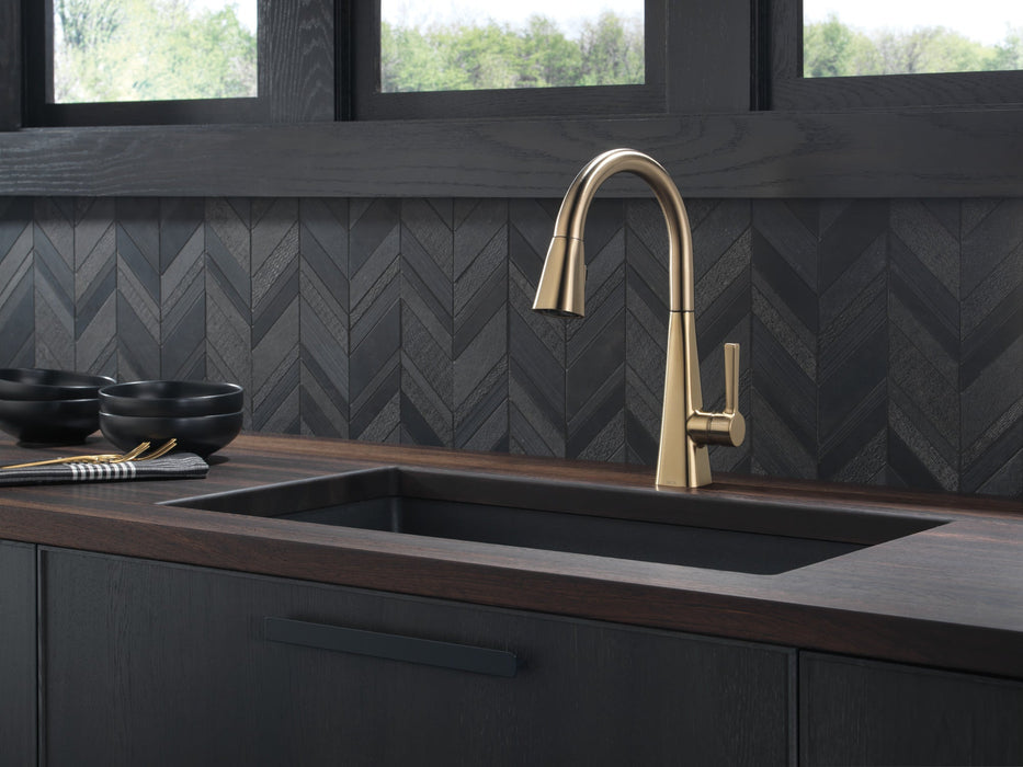 Delta Lenta 19802Z Single-Handle Pull-Down Kitchen Faucet