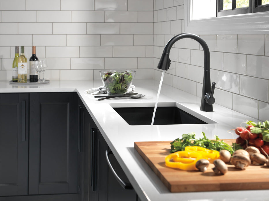 Delta Lenta 19802Z Single-Handle Pull-Down Kitchen Faucet