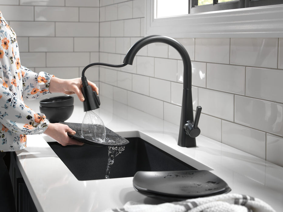Delta Lenta 19802Z Single-Handle Pull-Down Kitchen Faucet