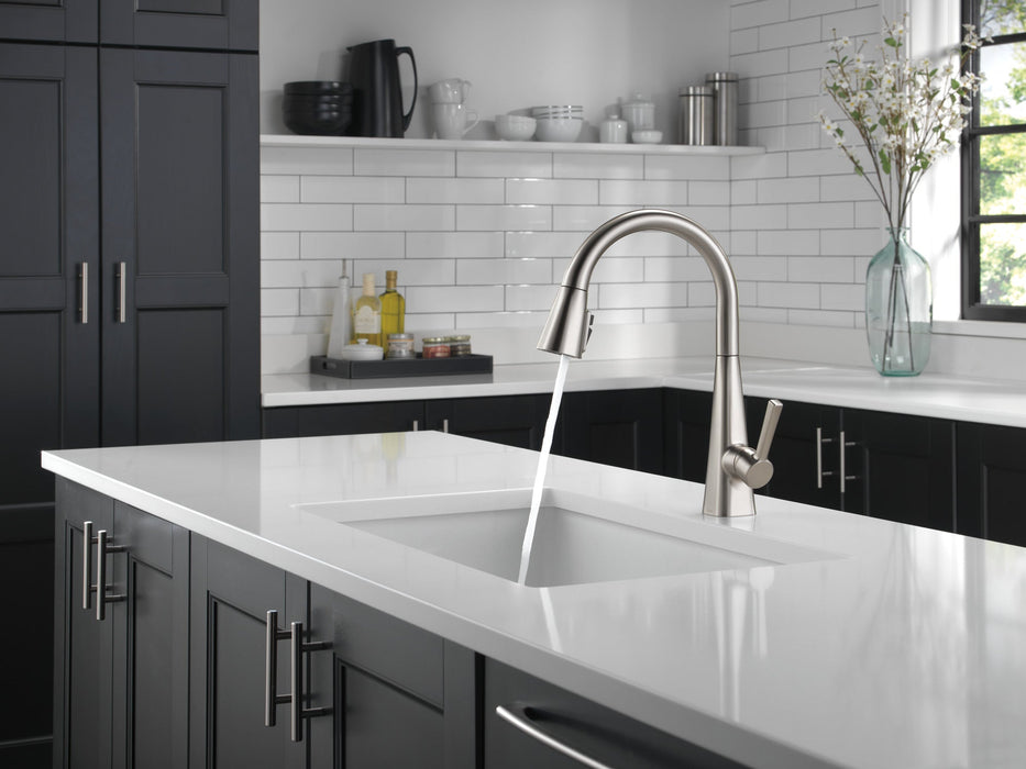 Delta Lenta 19802Z Single-Handle Pull-Down Kitchen Faucet
