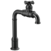Delta Broderick 1990LFC True Bar Kitchen Faucet, matte black