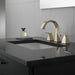 Delta Trillian 35546 Two Handle Widespread Bathroom Faucet, lumicoat polished nickel - view 2