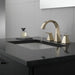 Delta Trillian 35546 Two Handle Widespread Bathroom Faucet, lumicoat polished nickel - view 3