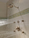 Delta 50102 Surface Mount Body Spray, champagne bronze - view 4