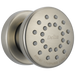 Delta 50102 Surface Mount Body Spray, stainless
