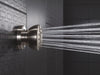 Delta 50102 Surface Mount Body Spray, stainless - view 3