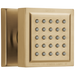 Delta 50150 Surface Mount Body Spray, champagne bronze