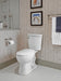 Delta Grail 55085 Premium Single-Setting Adjustable Wall Mount Hand Shower, stainless - view 4