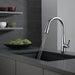 Delta Essa 9113TV VoiceIQ Single Handle Pull-Down Faucet with TouchTouch 2O Technology, arctic stainless - view 2