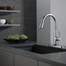 Delta Essa 9113TV VoiceIQ Single Handle Pull-Down Faucet with TouchTouch 2O Technology, arctic stainless - view 5