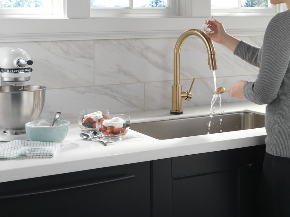 Delta Trinsic 9159TV VoiceIQ Single-Handle Pull-Down Kitchen Faucet with TouchTouch 2O Technology, champagne bronze - view 4