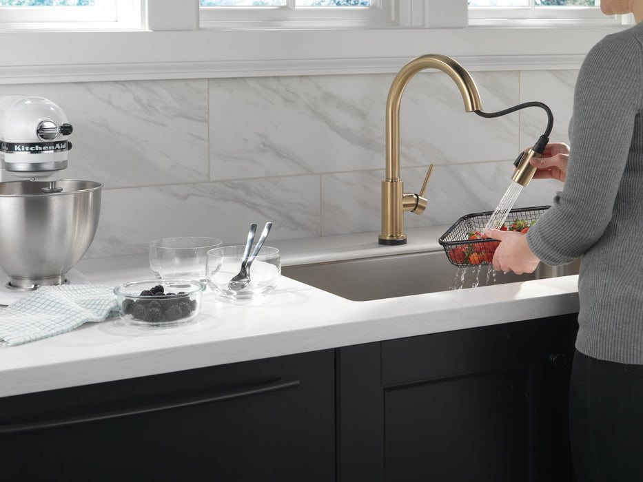Delta Trinsic 9159TV VoiceIQ Single-Handle Pull-Down Kitchen Faucet with TouchTouch 2O Technology, champagne bronze - view 5