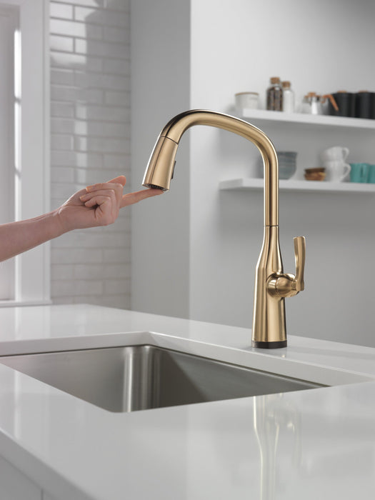 Delta Stryke 9176TV TouchTouch 2O Pull-Down Kitchen w/ Voice, lumicoat champagne bronze - view 5
