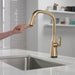 Delta Stryke 9176TV TouchTouch 2O Pull-Down Kitchen w/ Voice, lumicoat champagne bronze - view 5