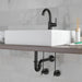 Delta DT031141 P-Trap, matte black - view 2